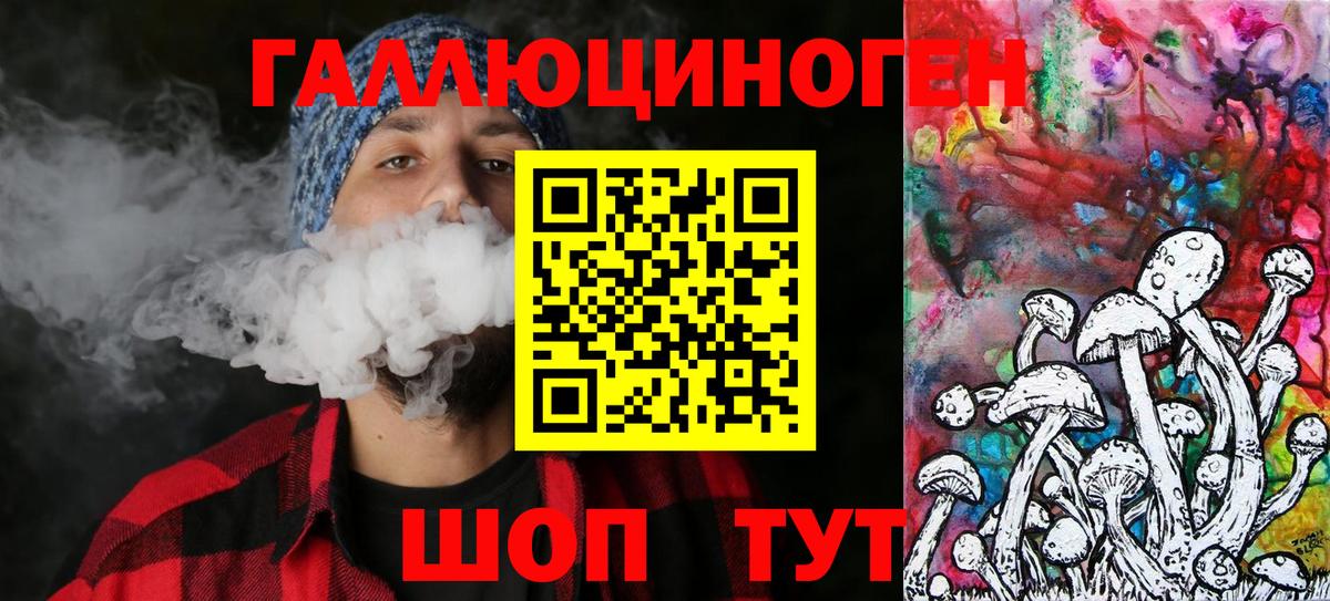 Псилоцибиновые грибы Psilocybe  Вход с VPN  Урюпинск  сколько стоит  Псилоцибиновые грибы GOLDEN TEACHER 