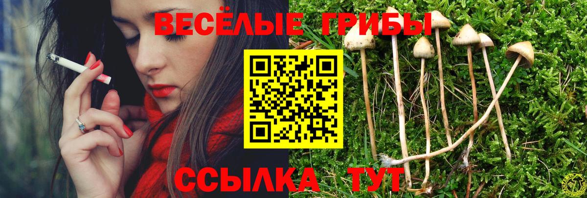 Псилоцибиновые грибы мухоморы Урюпинск